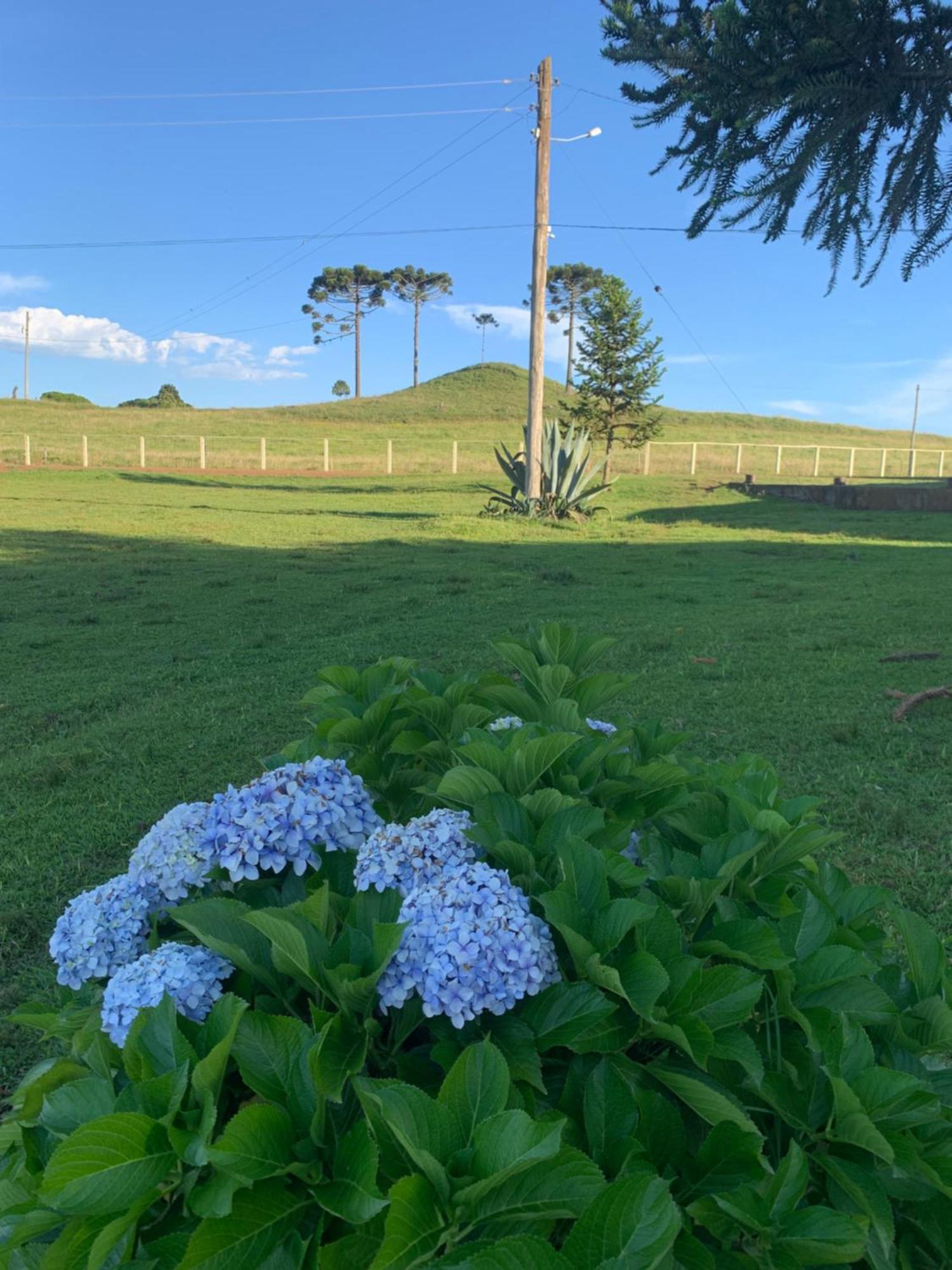 Pousada Fazenda Paim 圣若泽-杜斯奥森蒂斯 外观 照片